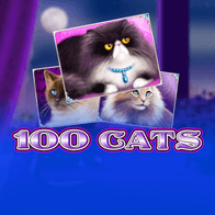 100 Cats